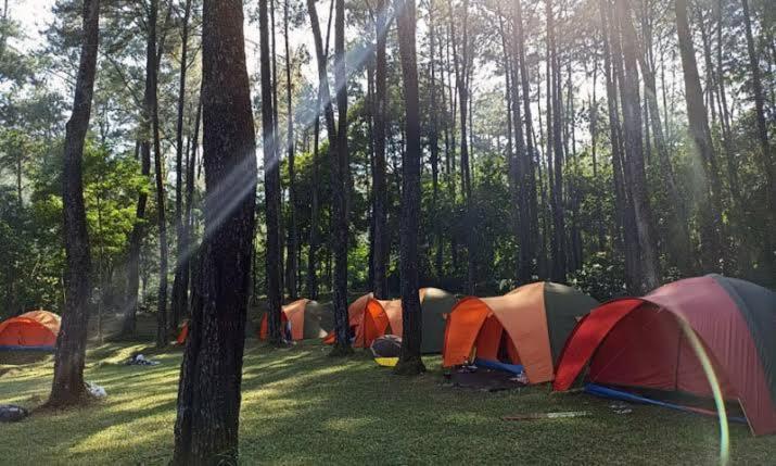 Tapian Camping Ground Букитинги Екстериор снимка