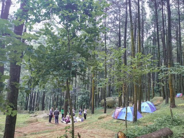 Tapian Camping Ground Букитинги Екстериор снимка