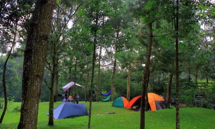 Tapian Camping Ground Букитинги Екстериор снимка